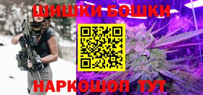 индика Ставрополь