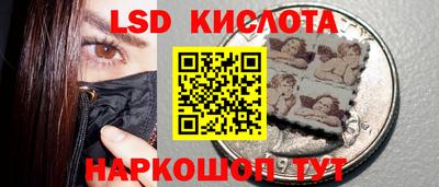 индика Ставрополь