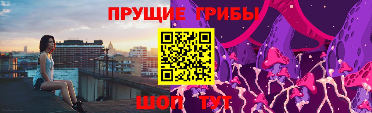 Галлюциногенные грибы Psilocybine cubensis Павловский Посад